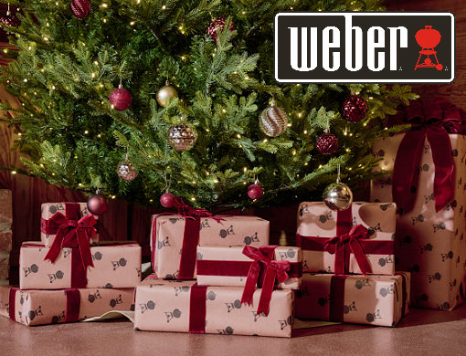 Weber® Premium & Service Partner
