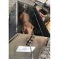 Preview: Spanferkelgrill Modell "Opa Richard"
