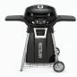 Preview: TRAVELQ™ PRO285 von Napoleon®