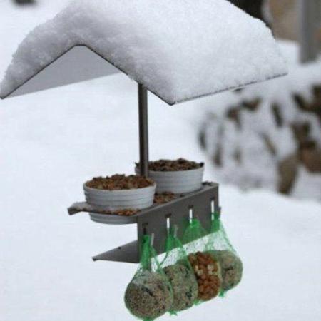 Bierflaschenhalter als Vogelbar