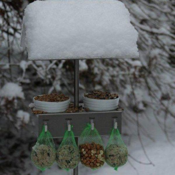 als Vogelhäuschen im Winter